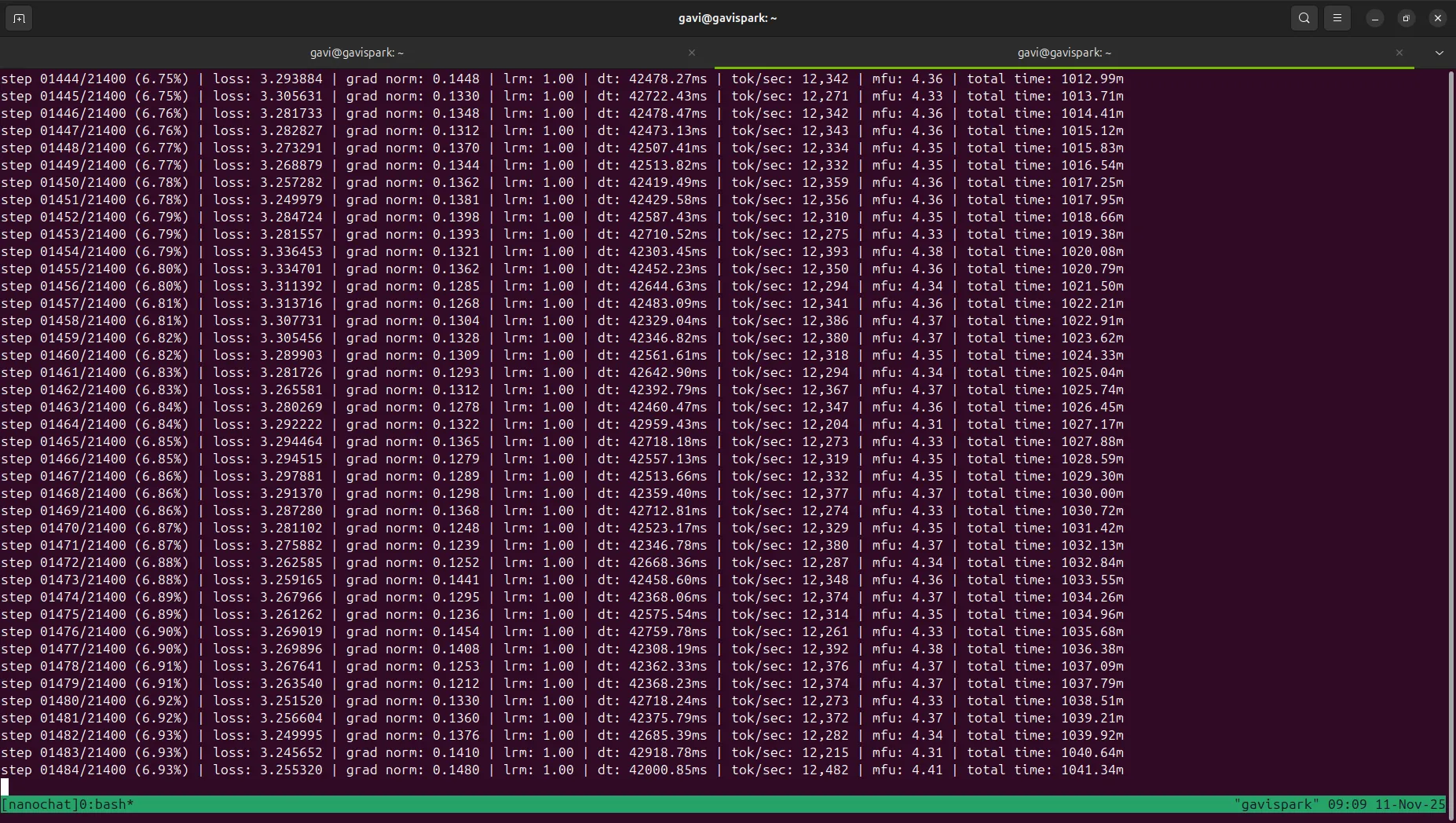 nanochat training on DGX Spark