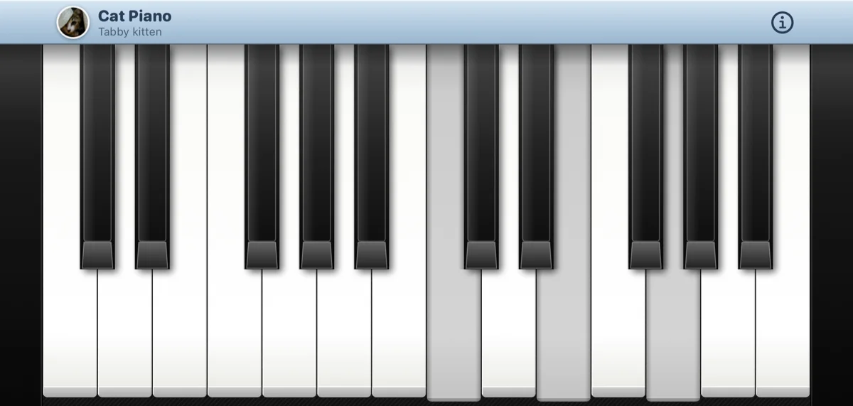 Cat Piano on an iPhone held sideways: twenty-four ivory keys with a chord pressed, the tabby kitten in the bar above