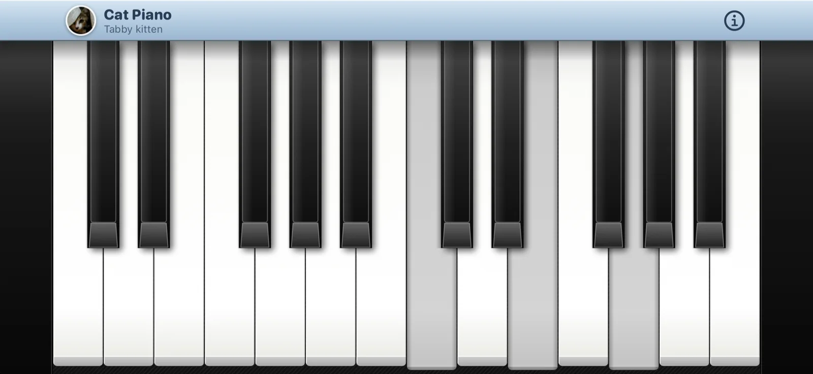 Cat Piano on an iPhone held sideways: twenty-four keys with a chord pressed, the tabby kitten in the bar above