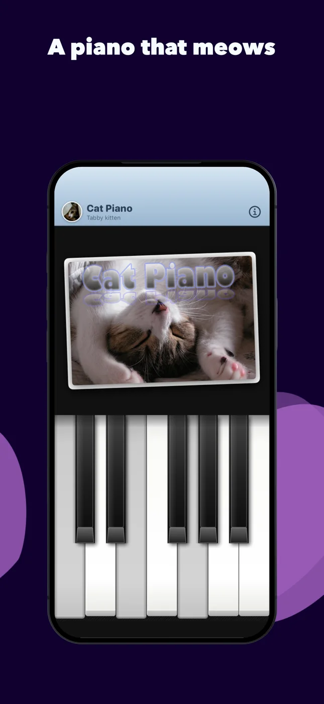 The kitten of the 2009 launch screen above twelve keys, a C major chord pressed