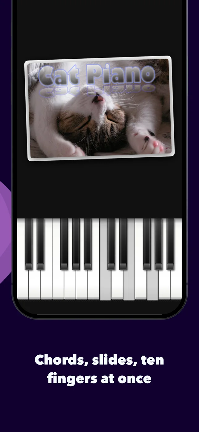 Twenty-four keys with a chord pressed an octave up