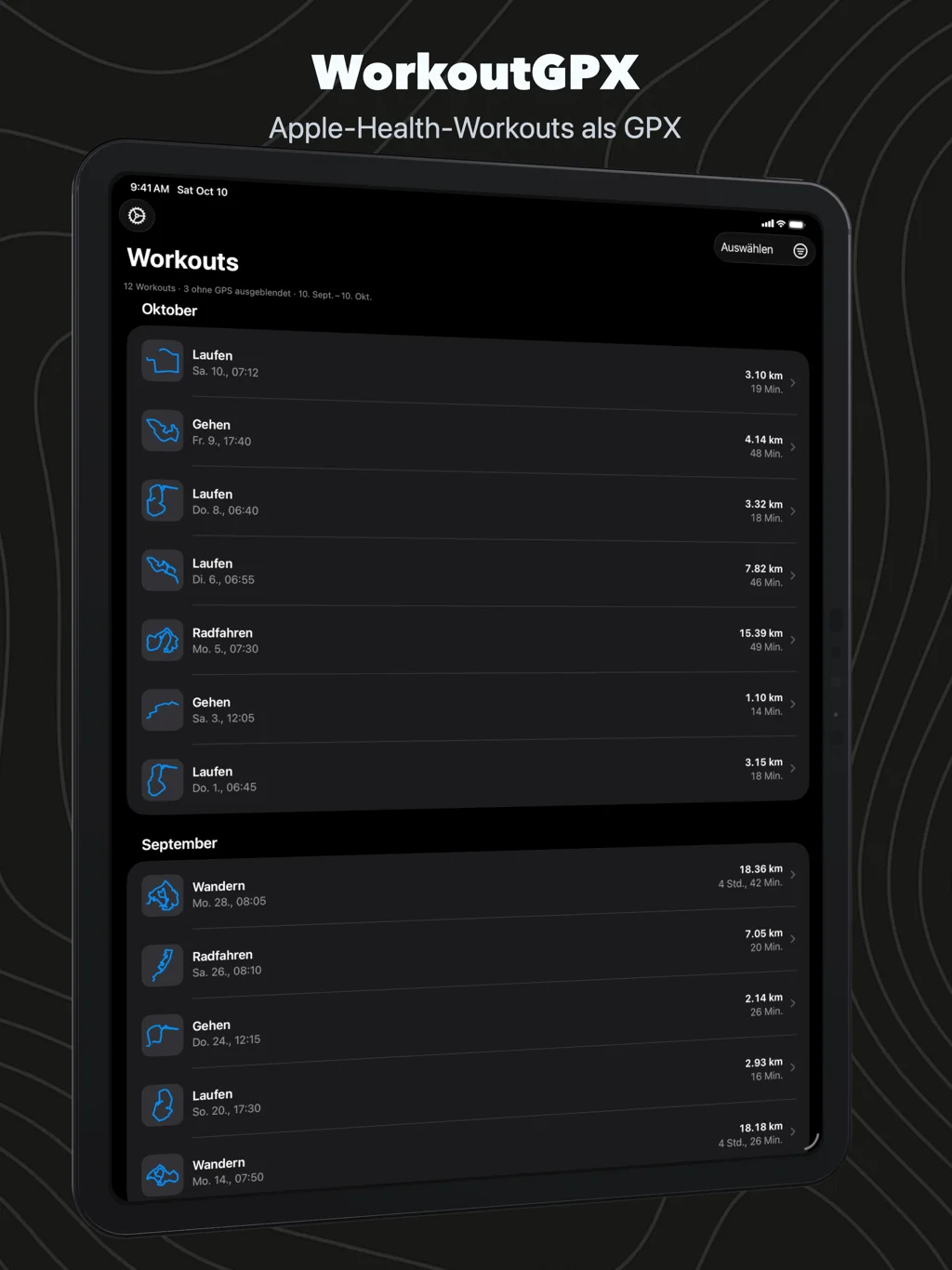 WorkoutGPX auf dem iPad: die Workout-Liste nach Monaten, jedes Workout mit der Form seiner Strecke