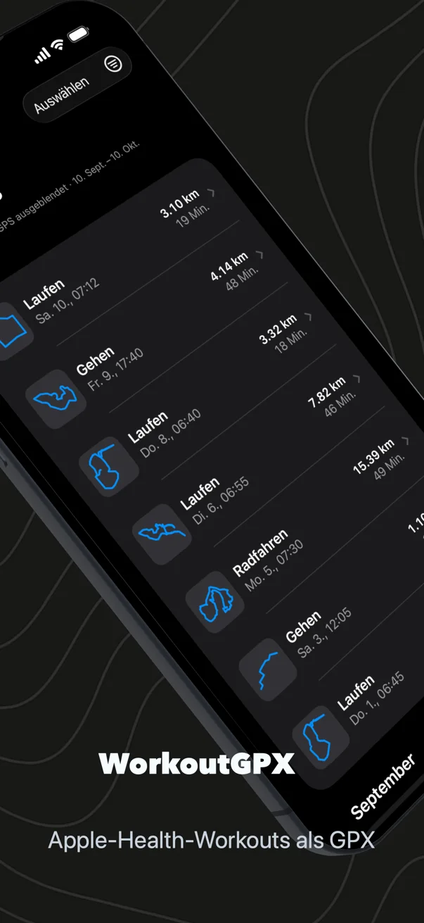 WorkoutGPX, Apple-Health-Workouts als GPX: die Workout-Liste auf einem iPhone, jedes Workout mit der Form seiner Strecke